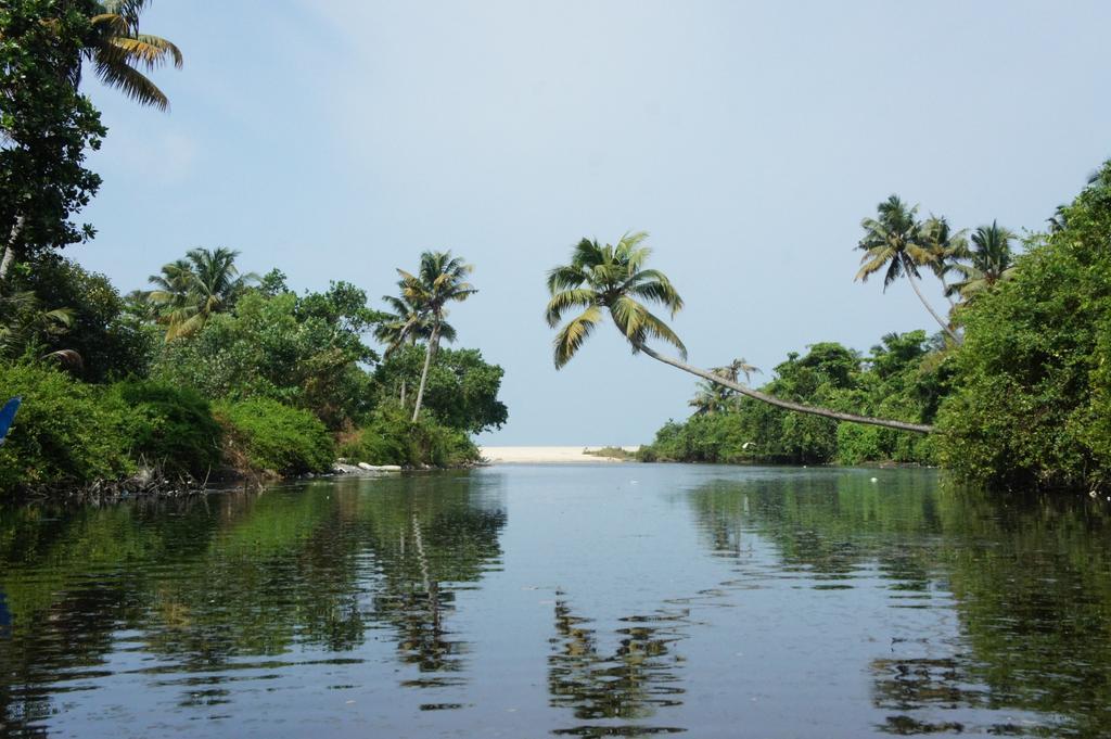 Marari Secret Beach Yoga Homestay Mararikulam Exterior photo