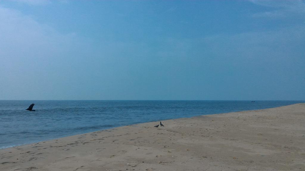 Marari Secret Beach Yoga Homestay Mararikulam Exterior photo